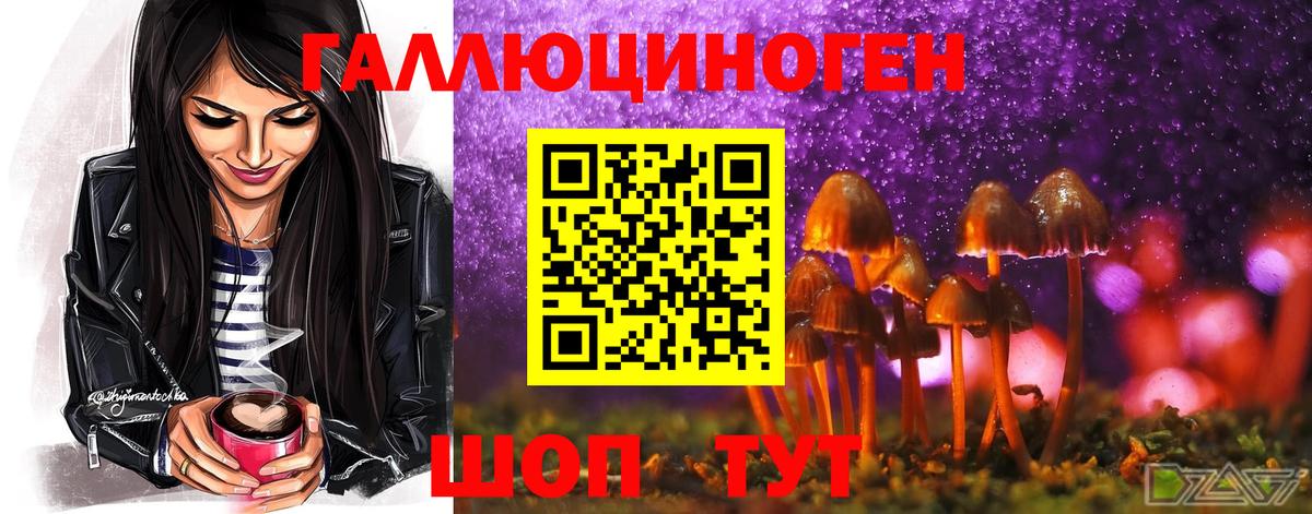Псилоцибиновые грибы Psilocybine cubensis Партизанск